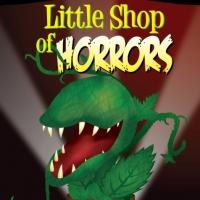 Terrace Plaza Playhouse Presents LITTLE SHOP OF HORRORS, Now thru 11/15 Video