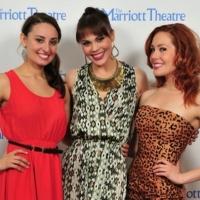 Photo Flash: Cast of Marriott Theatre's CATS Celebrates Opening Night Video