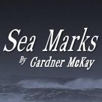 Staged Reading of SEA MARKS Comes to the Fly on the Wall Theatre This Weekend Video