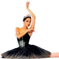 The Joffrey Ballet Presents a Newly Envisioned SWAN LAKE, Now thru 10/26