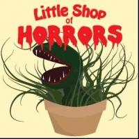 MTG's LITTLE SHOP OF HORRORS Opens Tonight Video