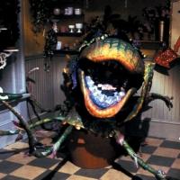 Rick Moranis To Make Appearance at BAM's LITTLE SHOP OF HORRORS Sing-Along, 10/25 Video