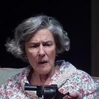 Photo Flash: White Horse Theater Company's 'NIGHT, MOTHER Video