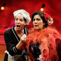 BWW Reviews: Fast and Furious Fun at Trinity Rep's A FLEA IN HER EAR Video