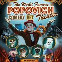 Mayo Performing Arts Center to Welcome Popovich Comedy Pet Theatre, 4/28 Video