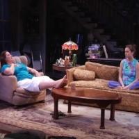 BWW TV: First Look at Highlights of Victory Gardens' APPROPRIATE Video