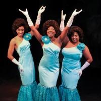 BWW Reviews: Dazzling with the DREAMGIRLS at Mad Cow Video