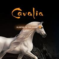 Cavalia Extends in Sydney Through June 26