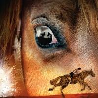 Grandiose Theaterpremiere: Das englische Erfolgsstück WAR HORSE spielt jetzt in Berlin