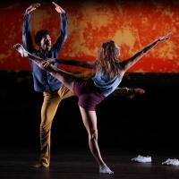 BWW Reviews: Millipied's L.A. Dance Project on the Move Video