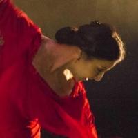 Esmeralda Enrique Spanish Dance Company to Perform LETTERS TO SPAIN, 4/24-26