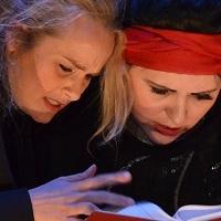 BWW Reviews: THE SHEPHERD'S CHAMELEON, The CLF Art Cafe at The Bussey Building, May 16 2013