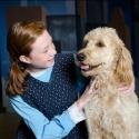 Photo Flash: DreamWrights Youth & Family Theatre Opens ANNIE Tonight Video
