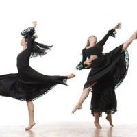 BWW Reviews: ModERIN: Darrah Carr Dance 15th Anniversary Season with Guest Choreographer Sean Curran