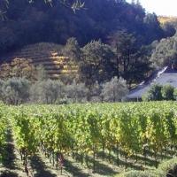 Spring Mountain Vineyard Announces New Winemaker Video