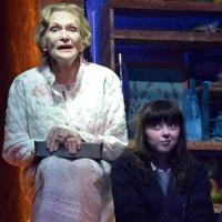 BWW Reviews: THIS IS MY FAMILY, Crucible Studio, Sheffield, June 24 2013