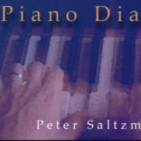 Peter Saltzman Brings One-Man Show PIANO DIARIES to the Athenaeum, Now thru 7/6 Video