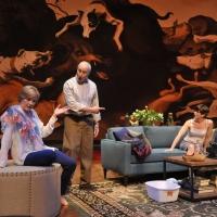 Photo Flash: First Look at Tim Getman, Deborah Hazlett and More in GOD OF CARNAGE Video