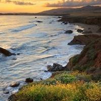 Eat, Drink and Be Merry; Celebrate the Season with Coastal Flair in Cambria, CA
