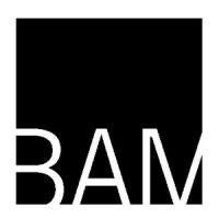BAM Announces 34 Events in Opera, Theater, Music and Dance for 2013 Next Wave Festiva Video