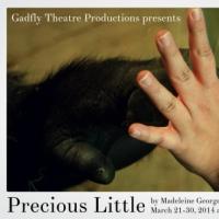 Gadfly Theatre Productions Stages PRECIOUS LITTLE, Now thru 3/30
