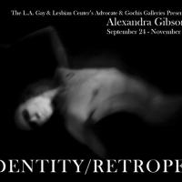 IDENTITY | RETROSPECT Exhibition on View at L.A. Gay & Lesbian Center Galleries, Now  Video