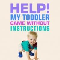 Blythe Lipman Releases 'Help! My Toddler Came Without Instructions'