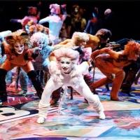 Theatre by the Sea to Present CATS, 6/19-7/13 Video