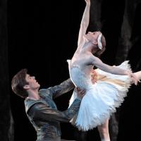 Houston Ballet Presents SWAN LAKE, Now thru 6/15 Video