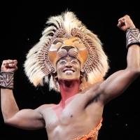 BWW Reviews: THE LION KING Tour Captivates Memphis