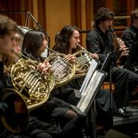 Adelaide Youth Orchestra's Maestro Series 3 to Present NORTHERN LIGHTS Concert, 9/21 Video