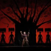 BWW Reviews: Latest Tour is LION KING Light