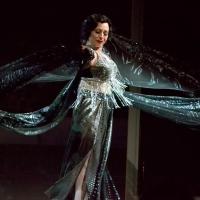 Photo Flash: First Look at Media Theatre's SUNSET BOULEVARD Starring Ann Crumb, Now T Video