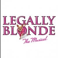 MTC School of Performing Arts Stages LEGALLY BLONDE, Beg. Tonight Video