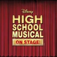 Piedmont Players Theatre Announces Cast for HIGH SCHOOL MUSICAL, 7/10-19 Video