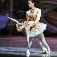 American Repertory Ballet Announces its 50th Annual 'Nutcracker' Season Video