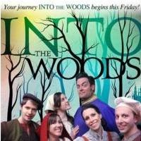BWW Reviews: CM PAC Goes INTO THE WOODS