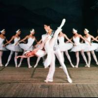 Madison Theatre at Molloy College to Welcome the Moscow Ballet's SWAN LAKE, 4/10