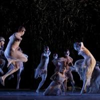 Bangarra Dance Theatre Performs at 2014 Holland Dance Festival This Weekend Video