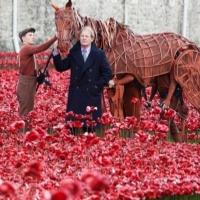 Photo Flash: WAR HORSE's Joey and Author Michael Morpurgo at the Tower of London