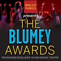 Blumenthal Performing Arts Announces Nominees for 2014 Blumey Awards; Ceremony Set fo Video