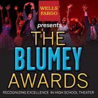 Blumenthal Performing Arts Announces Nominees for 2014 Blumey Awards; Ceremony Set…