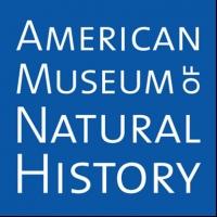 NATURAL HISTORIES Exhibition Opens Today at AMNH Video