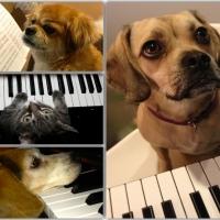 Bobby Cronin Presents INSPIRED 4: BENEFIT CONCERT, 3/31