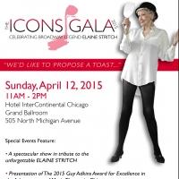 Porchlight's 2015 ICONS Gala to Tribute Elaine Stritch This Spring Video