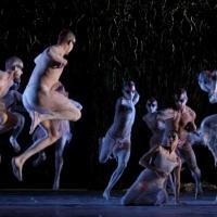 Bangarra Dance Theatre to Perform at 2014 Holland Dance Festival Video