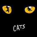 CATS UK Tour to Launch February 9 in Edinburgh! Video