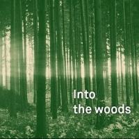 INTO THE WOODS to Play Theatre du Chatelet in April Video