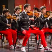 Carnegie Hall Announces Musicians Selected for 2015 National Youth Orchestra of the U Video