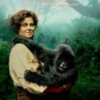 Civic Theatre of Allentown to Show GORILLAS IN THE MIST as Part of National Evening o